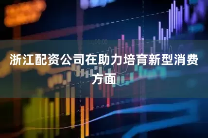 浙江配资公司　　在助力培育新型消费方面