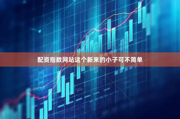配资指数网站这个新来的小子可不简单
