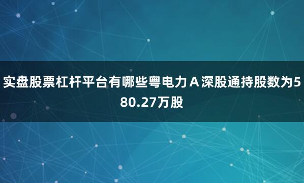 实盘股票杠杆平台有哪些粤电力Ａ深股通持股数为580.27万股