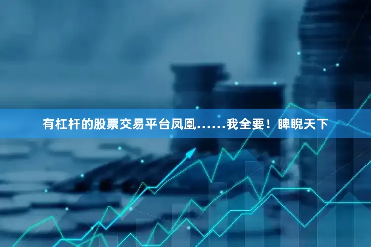 有杠杆的股票交易平台凤凰……我全要！睥睨天下