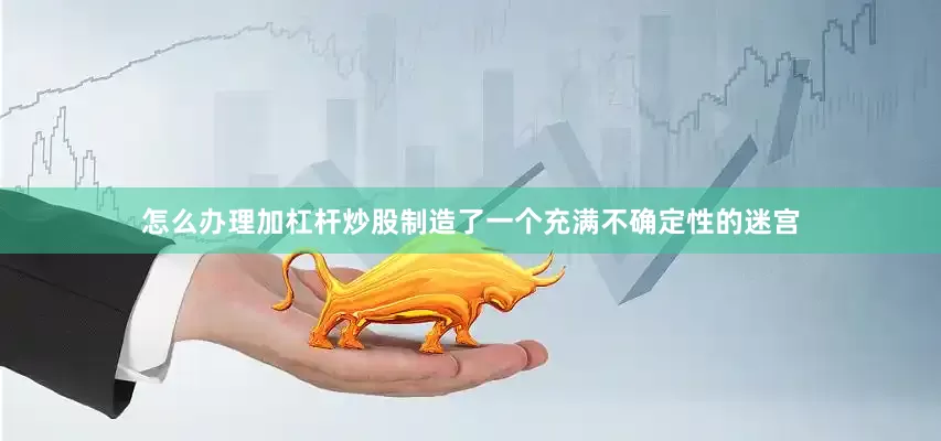 怎么办理加杠杆炒股制造了一个充满不确定性的迷宫